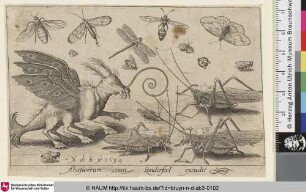 [Mischwesen und diverse Insekten; A Fanciful Creature, Dragonflies, Moths, Crickets, and a Ladybug]