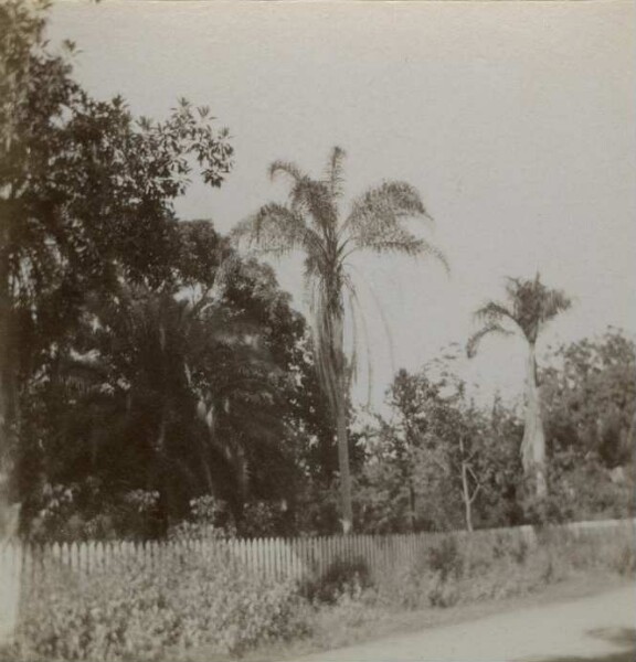 "Landscape, Tahiti"