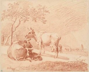 Drei Rinder und ein Kalb auf einer Weide, im Hintergrund ein Schäfer mit seiner Herde