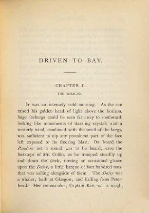 Driven to bay : a novel, 2