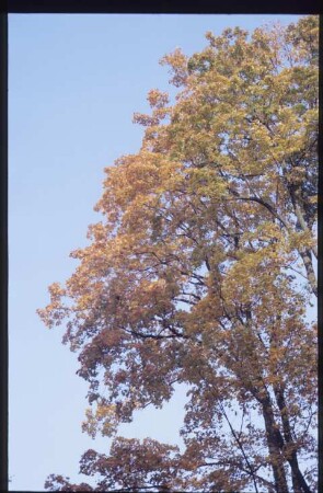 Berlin, Park Klein-Glienicke