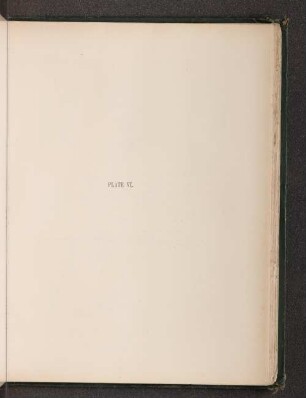 Plate VI.