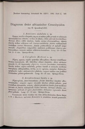Diagnosen dreier africanischer Cerambyciden