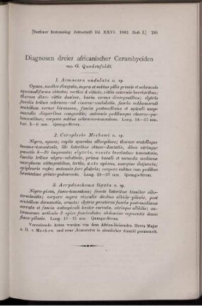 Diagnosen dreier africanischer Cerambyciden