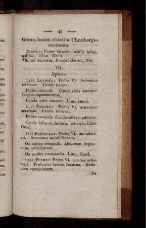 VII. Aptera