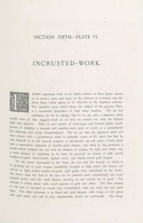 Plate VI. Incrusted-work