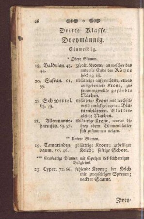 Dritte Klasse. Dreymännig