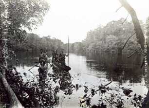 "Imuto-Karau in den Mangrove-Lagunen"