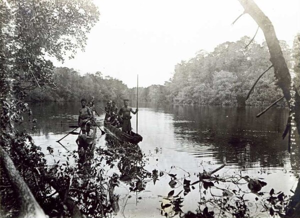 "Imuto-Karau in den Mangrove-Lagunen"