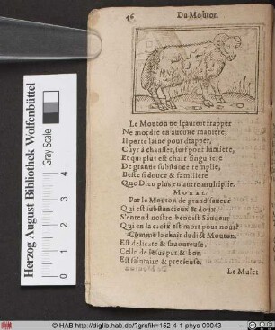 Du Mouton.