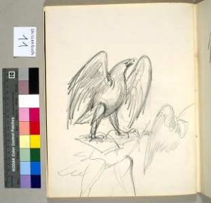 Adler