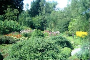 Garten mit blühenden Blumen in der Harztalstraße