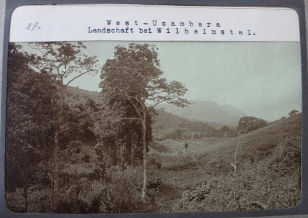 Usambara de l'ouest. Paysage près de Wilhelmstal.