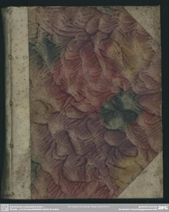 Duorum Theologorum Orthodoxorum Lutheranorum Iudicia, De Gratiae Revocatricis Termino Ad Illustriss., Dn. N. N.