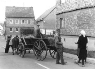 Transport der Flachsbündel zum Röstplatz
