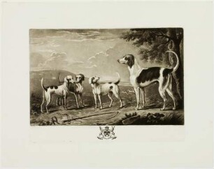 Portraits of Hounds