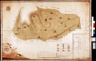 Geometrischer Grundriss über den herrschaftlich breubergischen Wald der Brunnthaler (Bronthaler) Forst genannt (Inselkarte)