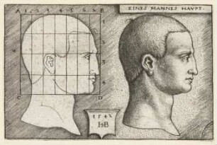 Eines Mannes Haupt (Proportionsstudie)