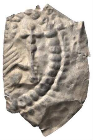 Fundmünze, Brakteat, um 1260 - 1270