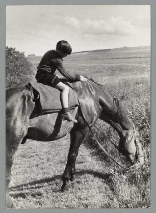 Junge auf einem Pferd reitend