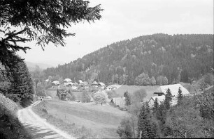 Weg am Hang bei Hinterzarten