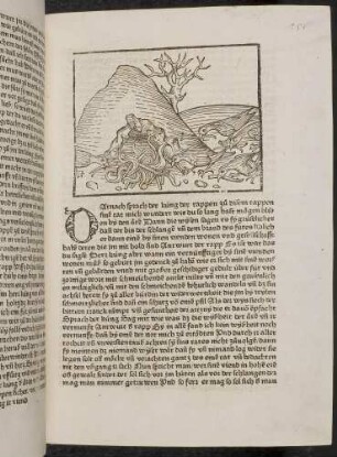 Die Raben legen Feuer vor der Höhle der Aare; (Kapitel V: Von den Raben und den Aaren).