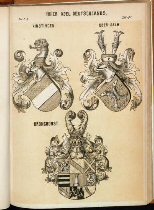 Taf. 191. Vinstingen. - Ober-Salm. - Bronghorst.