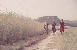 Sächsische Schweiz. Drei Frauen an einem Getreidefeld, im Hintergrund der Königstein