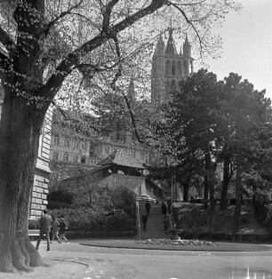 Notre-Dame