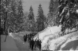 Feldberg: Skiläufer auf verschneitem Weg zum Feldberg