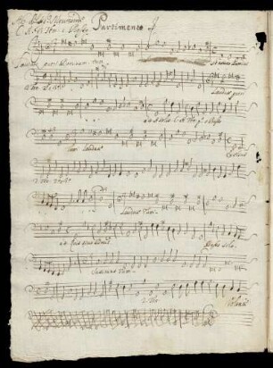 Basso continuo (Laudate pueri).