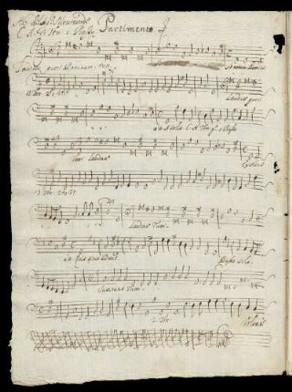 Basso continuo (Laudate pueri).