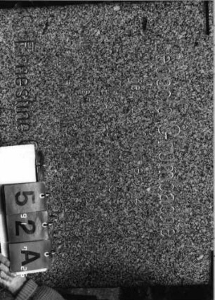 Grabstein 52 [Hahn S. 61 Grab-Nr. 196/97]: Grabstein 52A (Detailaufnahme 1) [Hahn S. 61 Grab-Nr. 196/97]