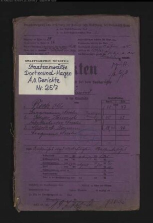 Angeklagter: Reetz, Otto; Angeklagter: Grösges, Heinrich; Angeklagter: Maschek, Hermann: Aufruhr (Zugehörigkeit zur "Roten Armee" oder zur "Roten Garde")