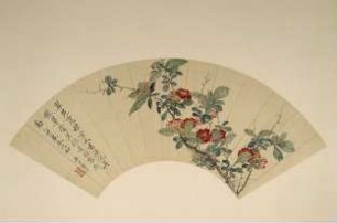 Japanische Quitte