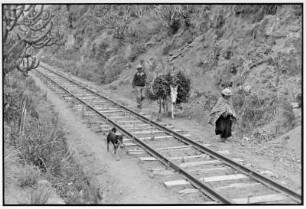 Ecuador. Paar mit Esel und Hund an einer Bahnstrecke