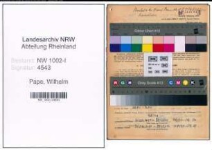 Entnazifizierung Wilhelm Pape, geb. 27.12.1894 (Dir.Assistent)