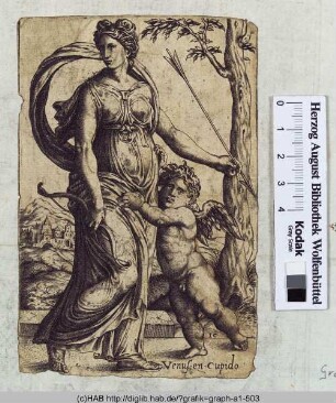 Venus en Cupido