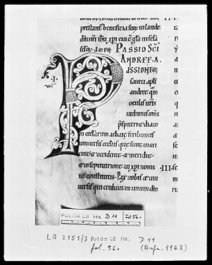 Nekrolog, Welfenchronik und Heiligenviten — Initiale P, Folio 56 verso