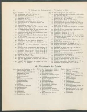 VII. Verzeichnis der Tafeln.