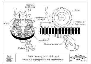Pelletierung von Halmgut Prinzip Kollergangpresse mit Ringmatrize