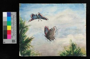 Gouache [vermutlich angefertigt von Graf zu Dohna]