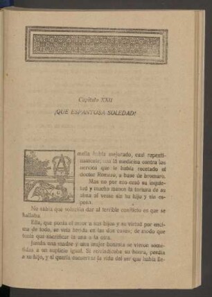 Capítulo XXII - ¡Que espantosa soledad!