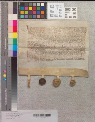 Der Richter Rolf Rumescotele zu Bielefeld bekundet, daß Knappe Hermann vom Broke dem Kloster Marienfeld das Nyehus zu Jolenbeke, Stift Paderborn, gegeben habe. Vertreter des Klosters: Albert Post, Weinmeister, Johann Polhem, Bursar, Mönche Heinrich vom Broke und Hermann, Hovemeystere zu Vrinchtorpe zu Marienfeld. Zeugen: Johann Top, Hermann Top, Echard vom Busche, Johann Bars.