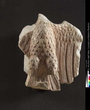 Fragmente der Kanzel, Adler