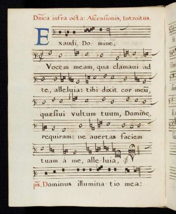 35v - 36r Exaudi Domine vocem meam qua clamavi