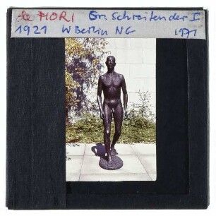 De Fiori, Großer Schreitender