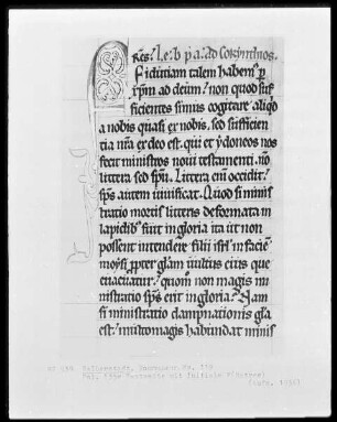 Lektionar, Ms. 119, folio 135 verso, Textseite mit Initiale F(ratres)
