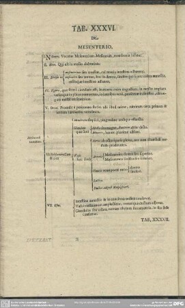 Tab. XXXVI. De Mesenterio