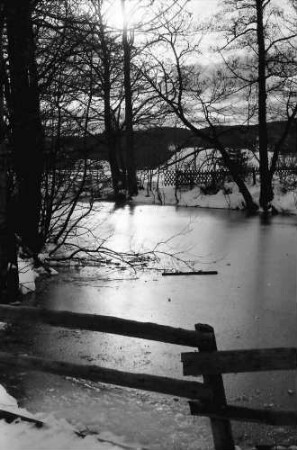 Hinterzarten: Zugefrorener Weiher
